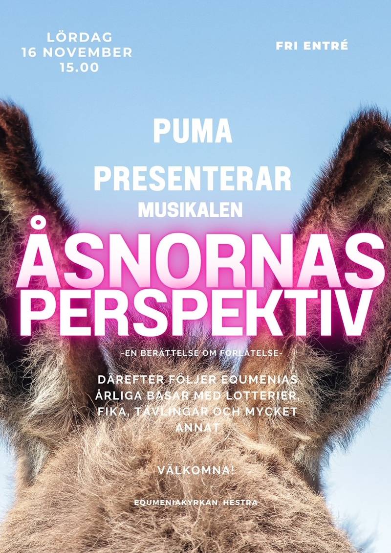 Equmenias basar med Pumas musikal